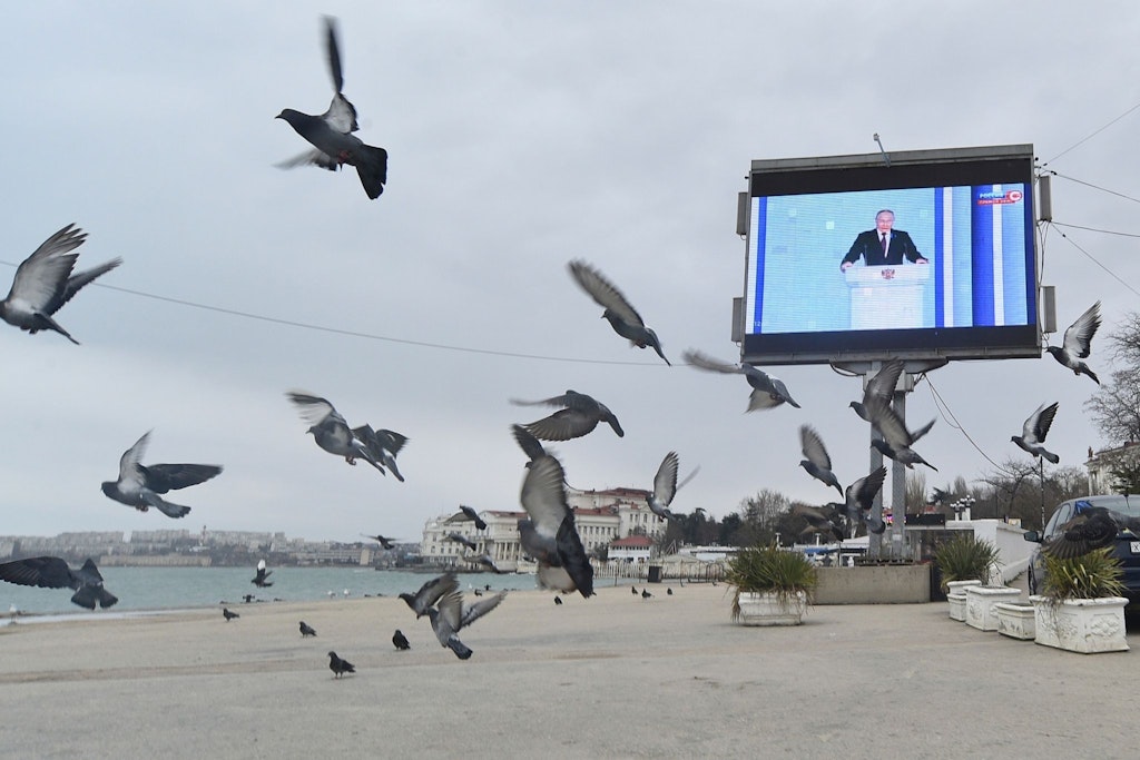 Am Strand von Sewastopol auf der okkupierten Krim interessierten sich die Tauben nicht für Putins Rede.