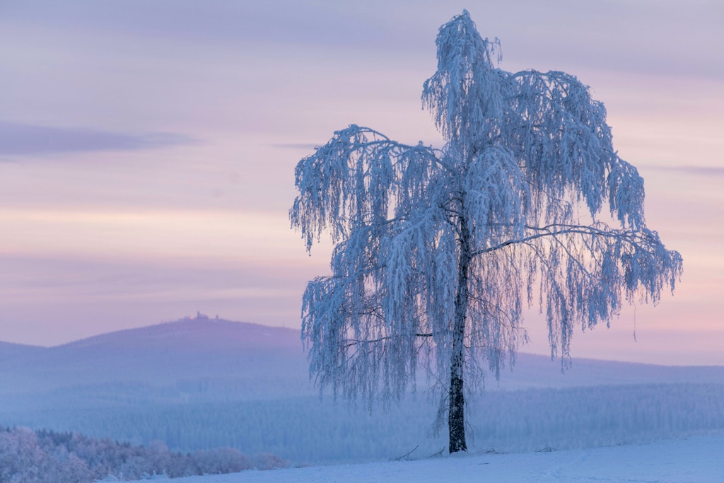 Das Wetter geht noch einmal in den Winter-Modus. Sogar von 30 Zentimetern Neuschnee im März ist die Rede.