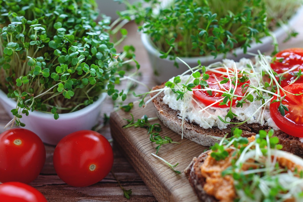 Vegane oder vegetarische Aufstriche sind leicht und lecker.