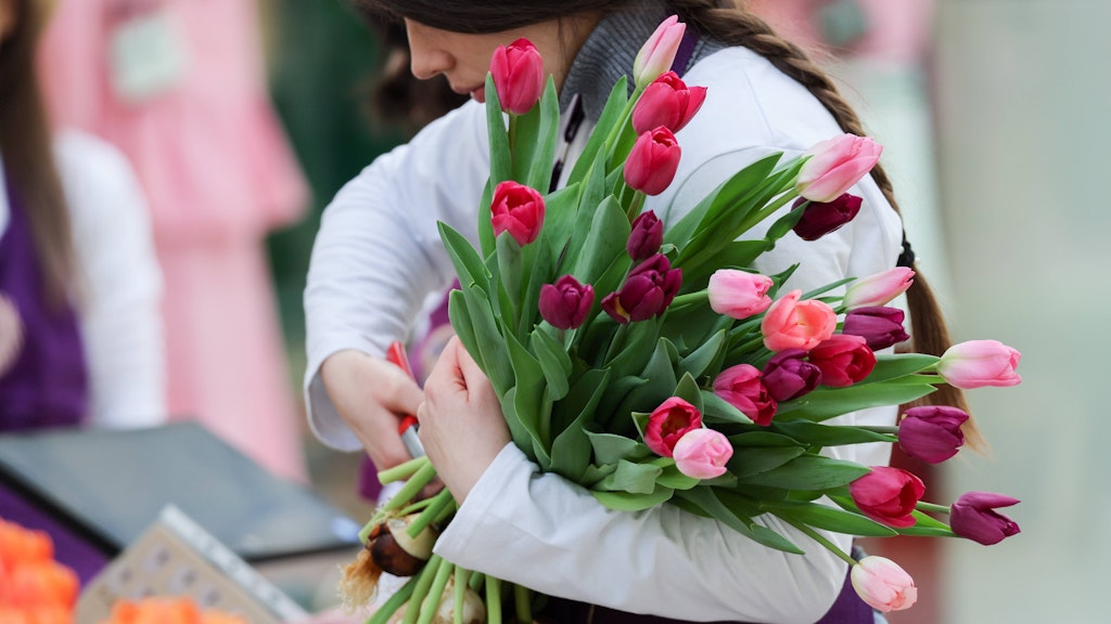 Beim Kauf von Tulpen für die Vase sollte man auf das typische Quietschen achten.
