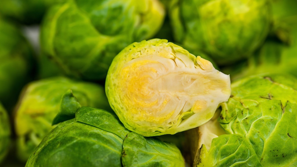 Für den Rosenkohl-Kartoffel-Eintopf wird der Rosenkohl laut Rezept halbiert.