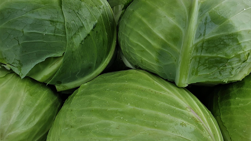 Statt grünem Salat ist Weißkohl die Hauptzutat für den Green Goddess Salad.