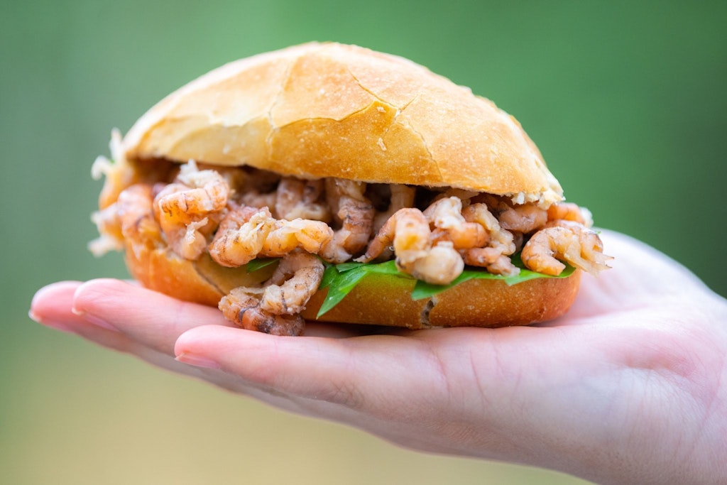Sind Krabbenbrötchen bald Mangelware an Nord- und Ostsee? Fischer bangen wegen neuer EU-Pläne um ihre Existenz.