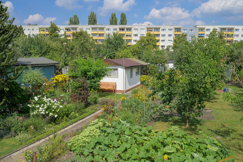 Schrebergärten wie hier in Berlin-Pankow sind begehrt und sehr teuer.