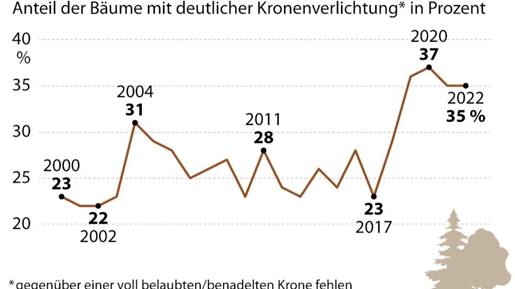 So steht es um den deutschen Wald. Viele Kronen sind verlichtet.