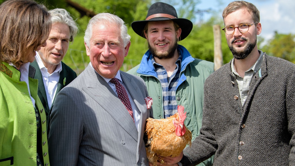 Charles, damaliger Prinz von Wales, hält bei dem Besuch des Bio-Bauernhofs Herrmannsdorfer Landwerkstätten einen Bruderhahn in den Händen. 