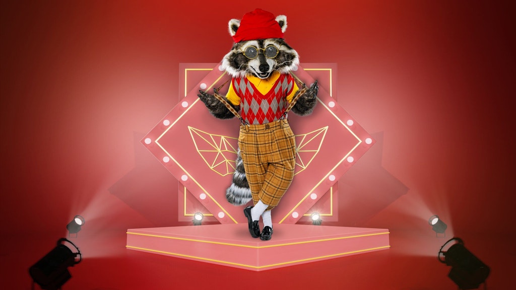 Auch der Waschbär steht bei „The Masked Singer“ auf der Bühne.