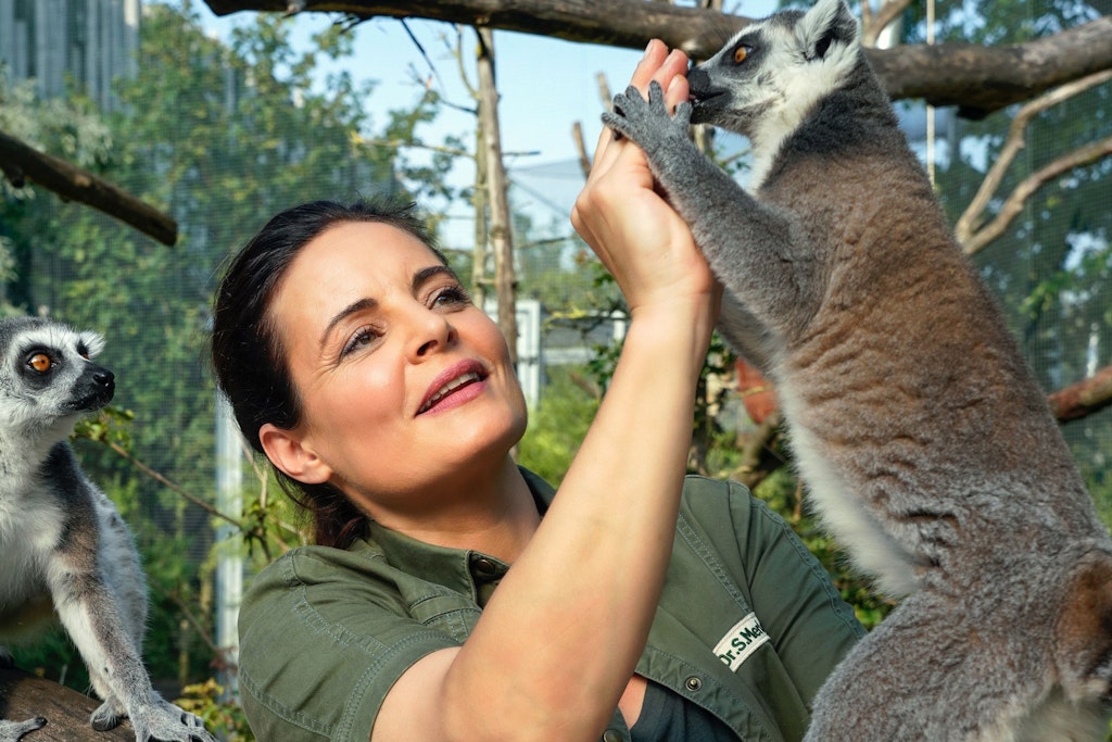 Im April kehrt Tierärztin Dr. Susanne Mertens (Elisabeth Lanz) auf die Fernsehbildschirme zurück..