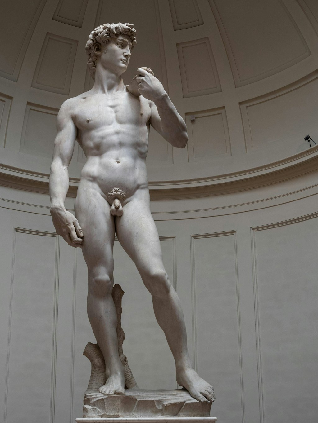 Die Statue David von Michelangelo ist über fünf Meter groß, steht in Florenz.