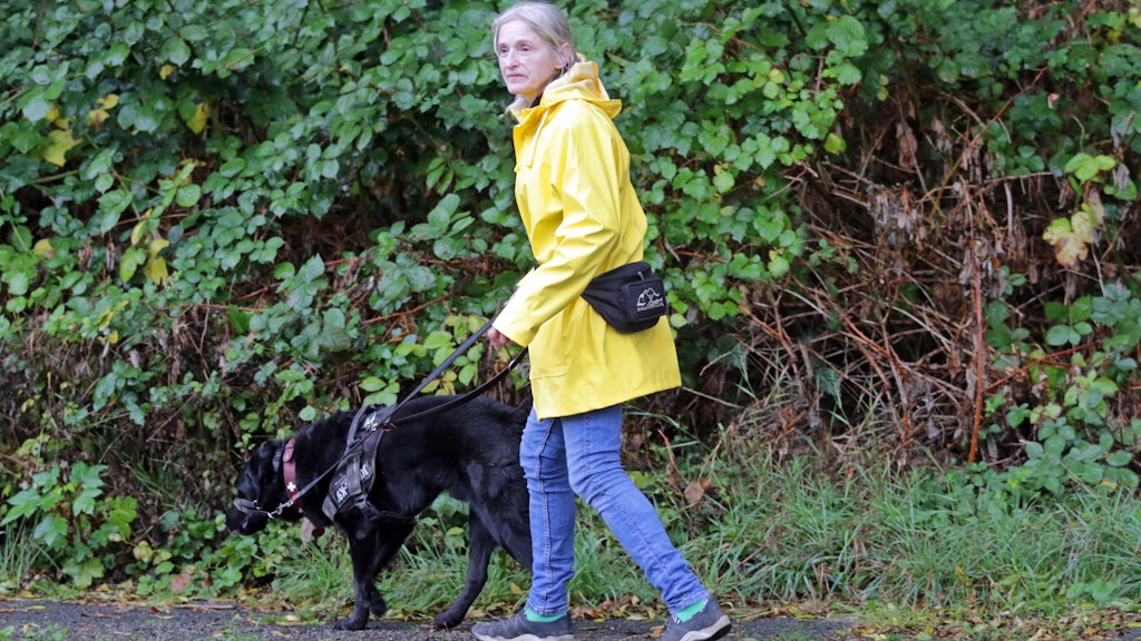 Bei Regen draußen mit dem Hund (Symbolfoto)