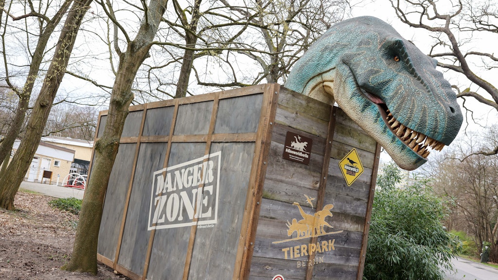 Die Nachbildung eines Tyrannosaurus Rex bei der Eröffnung der Dinoworld Berlin im Tierpark Berlin. Bis Oktober können Besucher im Tierpark Berlin-Friedrichsfelde die Ausstellung mit rund 23 lebensgroßen Dinosauriern besuchen. 