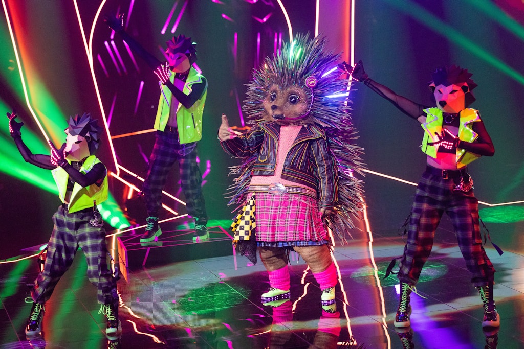 Wer ist der Igel bei „The Masked Singer“? Viele Zuschauer glauben, dass sie das stachelige Tier bereits enttarnt haben.