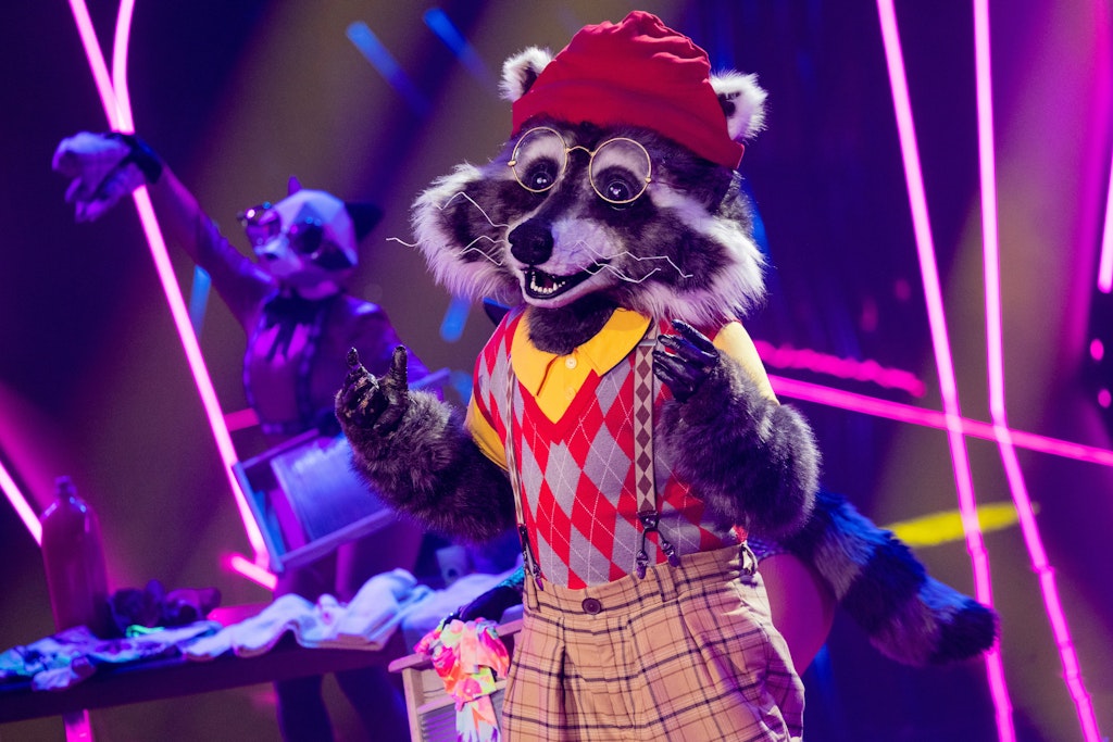 Aus für den Waschbär! Der putzige Geselle musste „The Masked Singer“ verlassen.