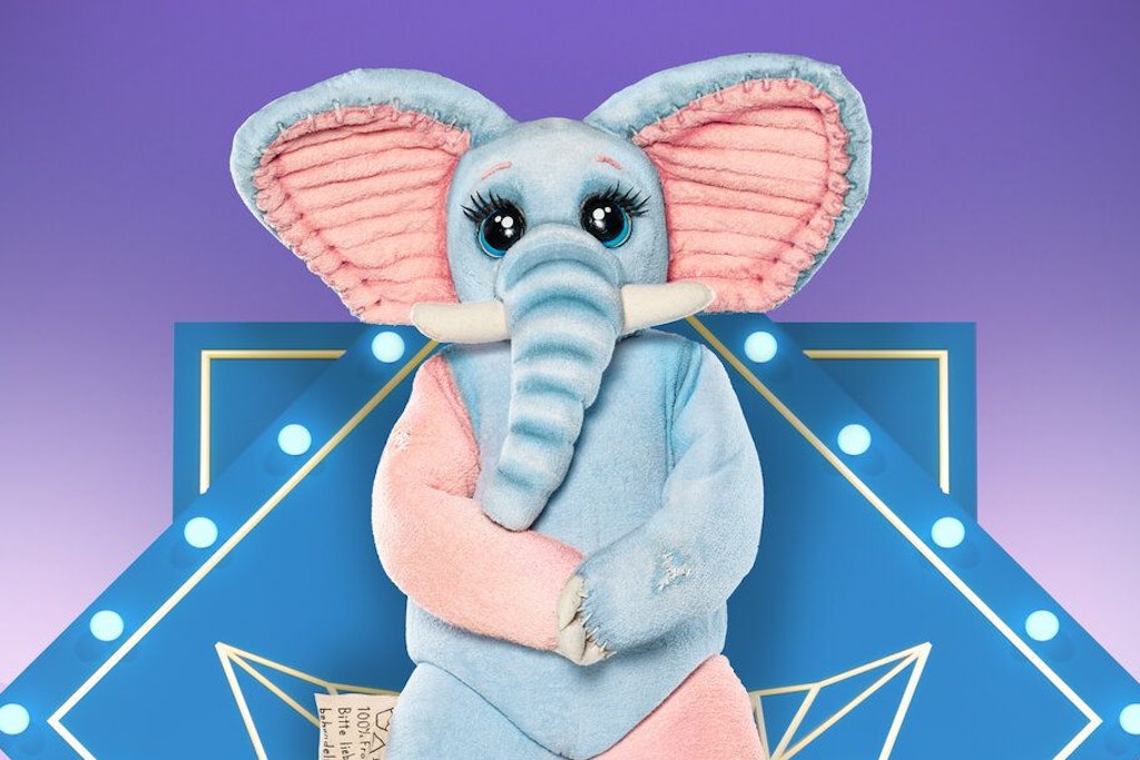 Der Frotteefant gehört bei „The Masked Singer“ zu den leichtesten Kostümen der aktuellen Staffel.