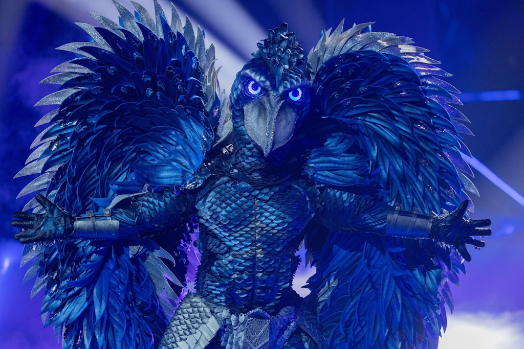 Der Schuhschnabel bei seinem ersten Auftritt auf der Bühne von „The Masked Singer“.