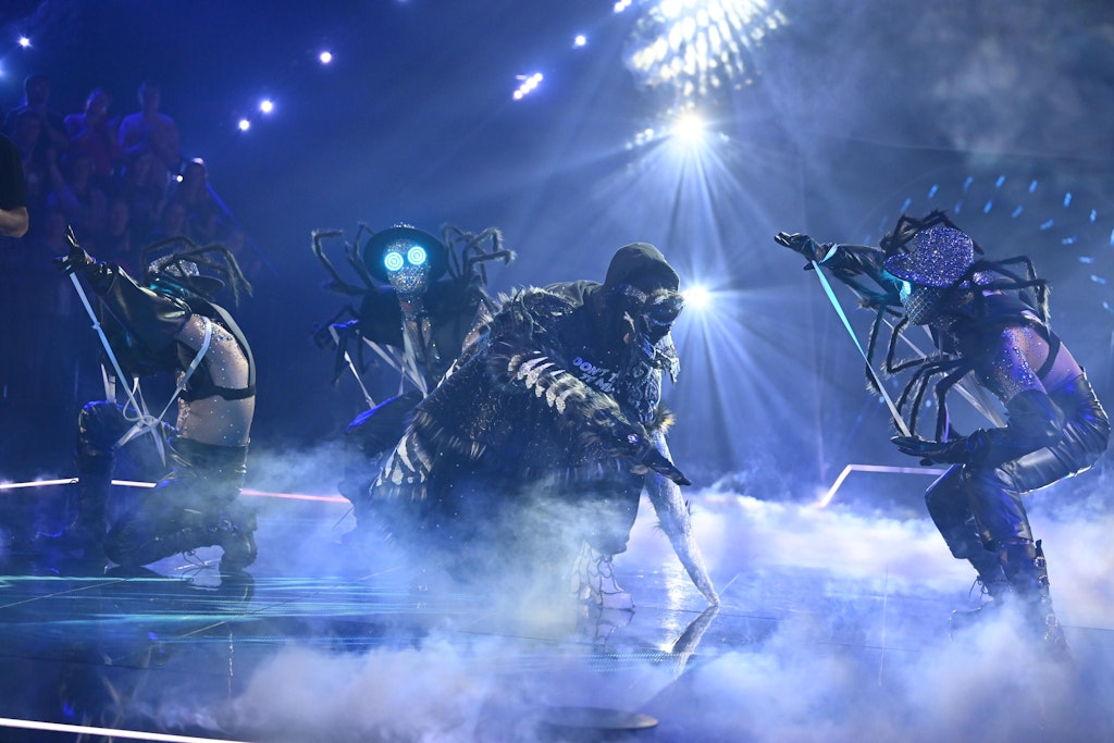 Die Spinne Diamantula überzeugte bei „The Masked Singer“ mit ihrem mystischen Auftritt - auch wenn das Kostüm in der ersten Folge noch nicht komplett war.