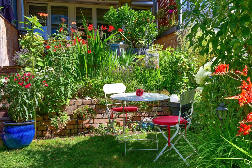 Wer sich im Sommer an einem blühenden Garten erfreuen will, sollte einige Blumen und Pflanzen jetzt säen und aussetzen.