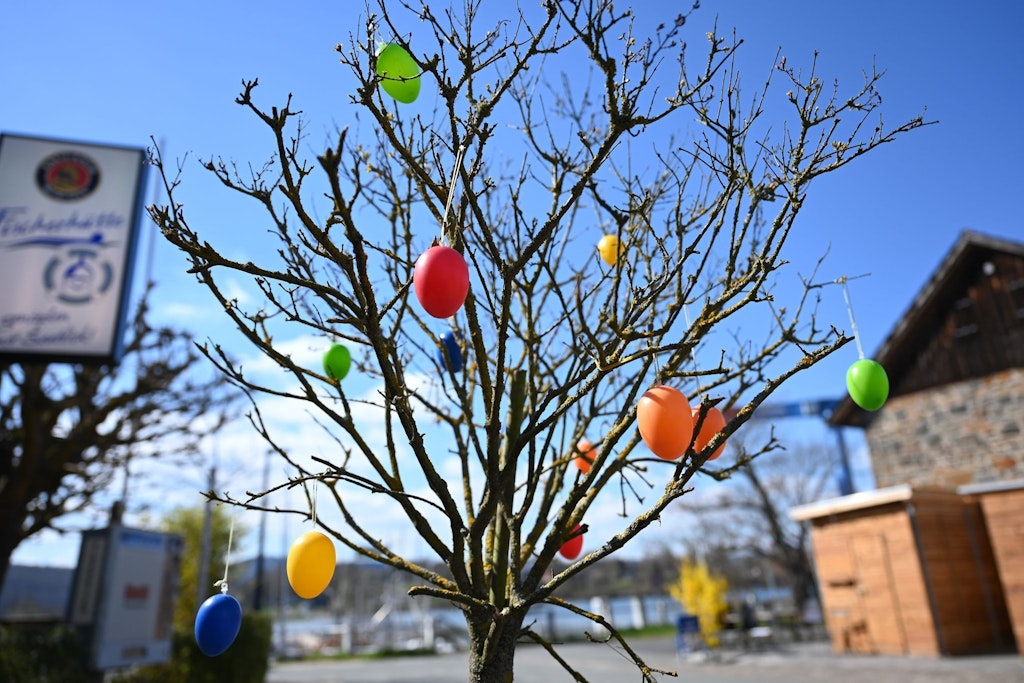 Ostereier schmücken diesen noch kahlen Baum, doch der Frühling macht sich gerade breit.