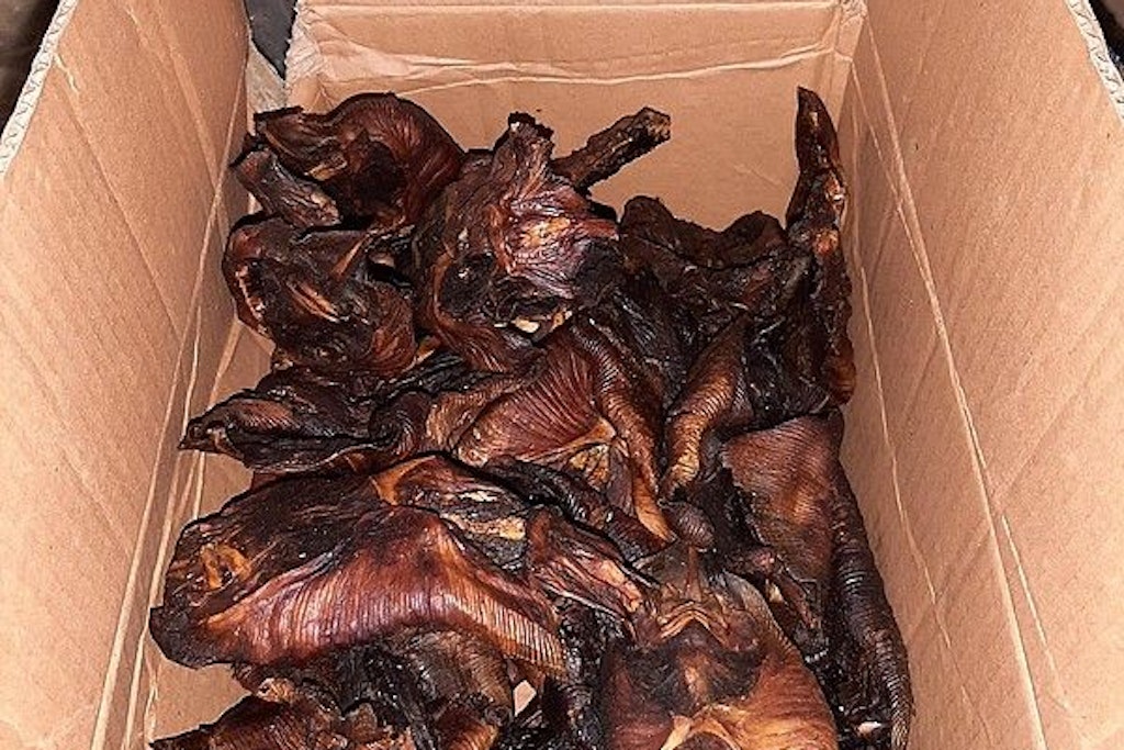 Gebratene Fledermäuse liegen in einem Karton. Bei der Kontrolle eines Kleintransporters in der Nähe der belgischen Grenze hat die Bundespolizei Aachen gebratene Fledermäuse und fast eine Tonne ungekühlten Fisch beschlagnahmt.