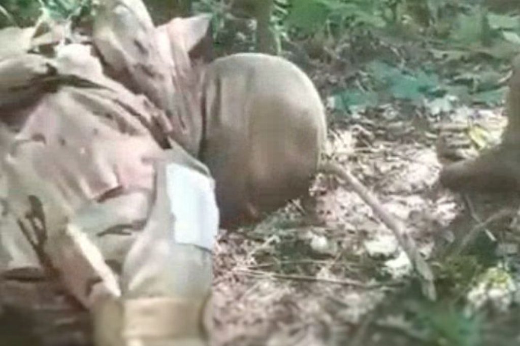 Das Video zeigt, wie der Täter das vermutlich noch lebende Opfer enthauptet.