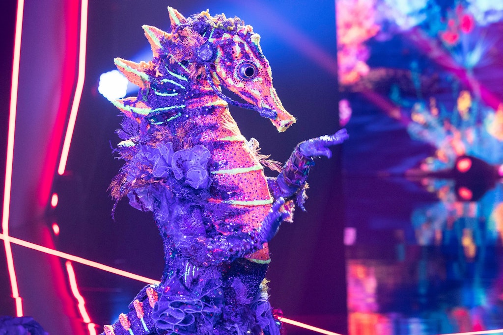 Das Seepferdchen bei The Masked Singer: Steckt Schauspielerin und Sängerin Anna Loos im Kostüm?