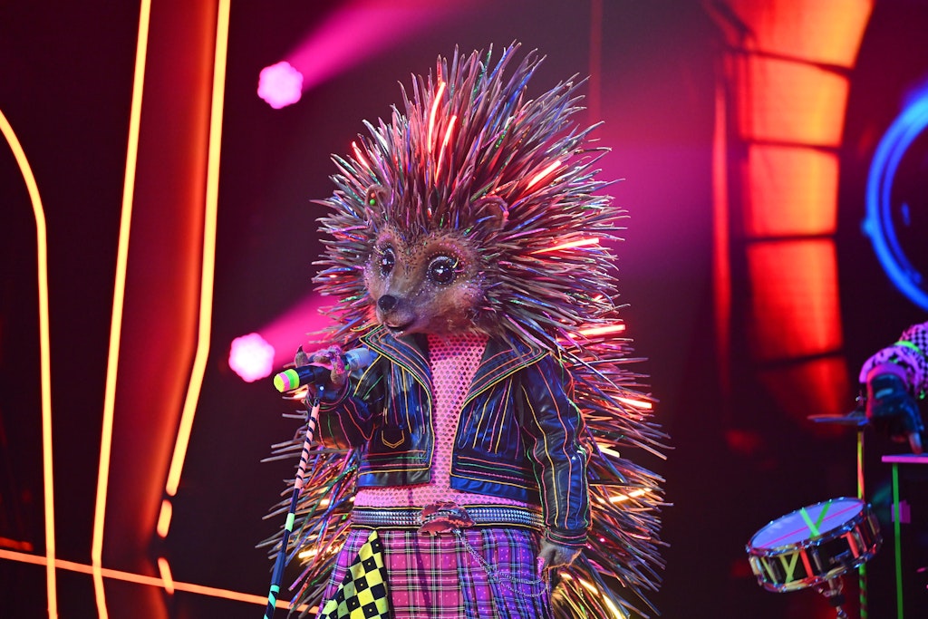 Der Igel bei seinem Auftritt auf der Bühne von The Masked Singer.