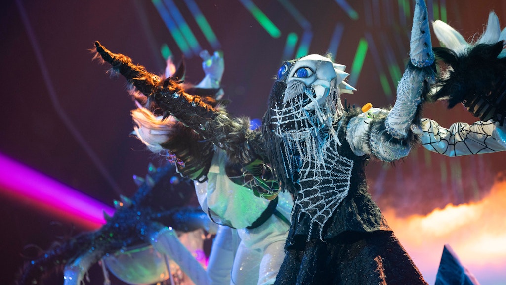 Spinne Diamantula schaffte es bei The Masked Singer ohne Probleme in die nächste Runde.