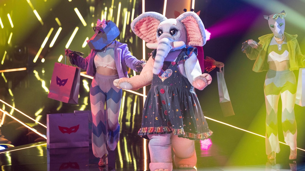 Der Frotteefant hat bei „The Masked Singer“ viele Fans - aber leider auch viele Gegner.