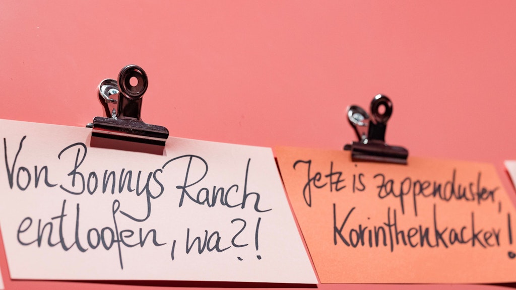 Wer andere verbal beleidigt, signalisiert: „Ich bin in einem sehr hohen emotionalen Zustand“. 