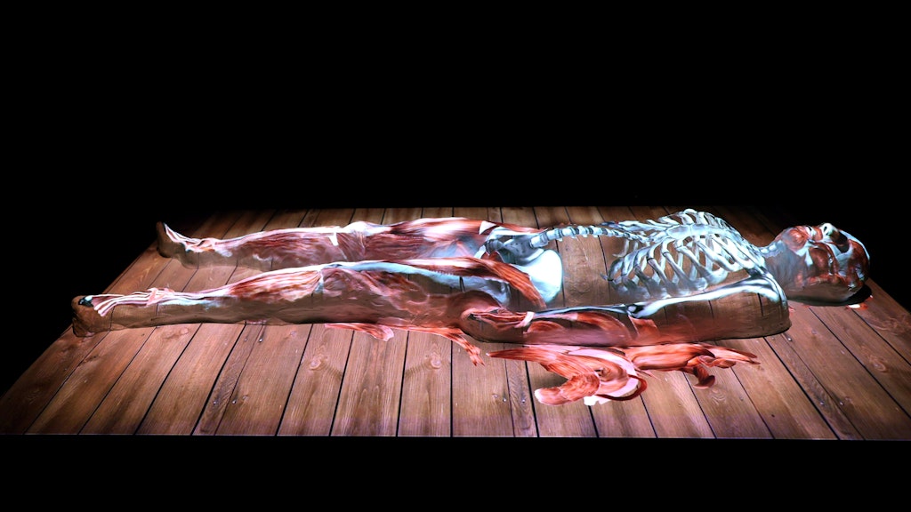 Nichts für schwache Nerven ist in der Schau „Skullmapping – Projected Art“ auch die 3D-Projektion, die den Verfall des menschlichen Körpers darstellt.
