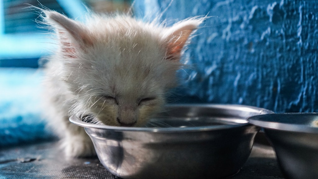 Als Alleinfutter gelten Futtermittel, die Tiere mit allen notwendigen Nährstoffen versorgen und zu denen nur noch Wasser angeboten werden muss.