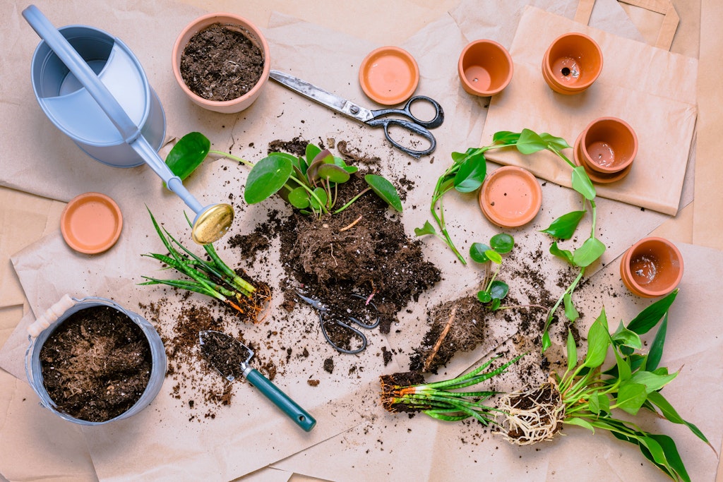 Alte Blumenerde kann man unter bestimmten Bedingungen wiederverwenden.