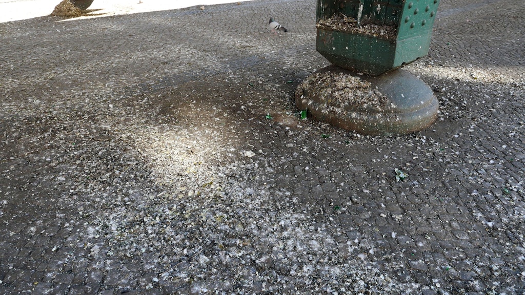 Alles vollgekackt: Am U-Bahnhof Eberswalder Straße gibt es Tauben und dazu auch den dazugehörigen Dreck.