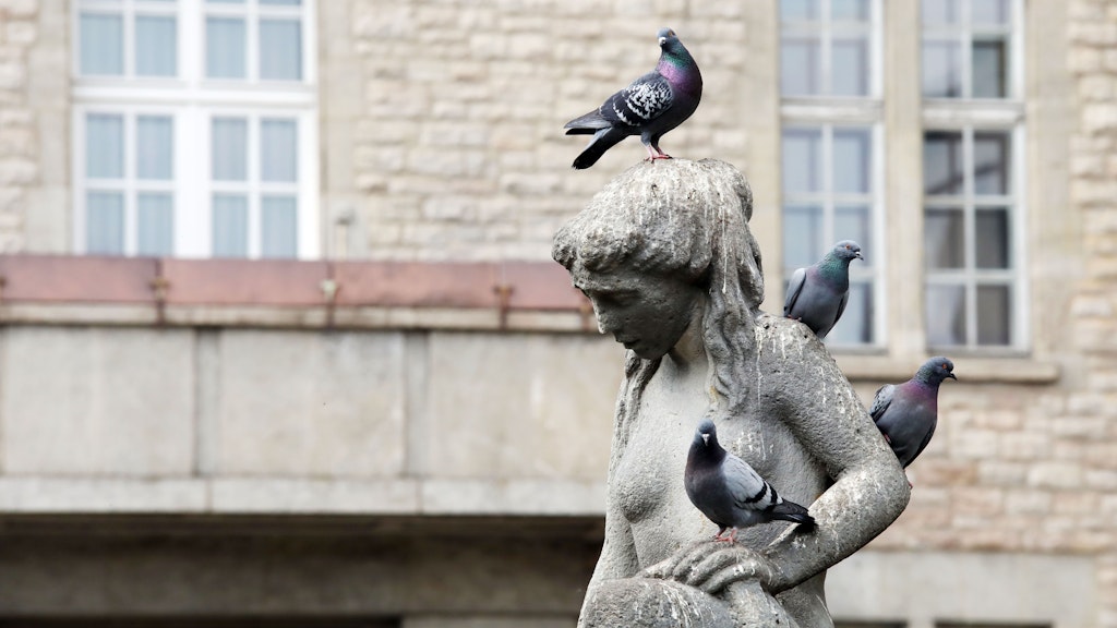 Der Brunnen vor dem Rathaus Neukölln wird gern von Tauben bevölkert.