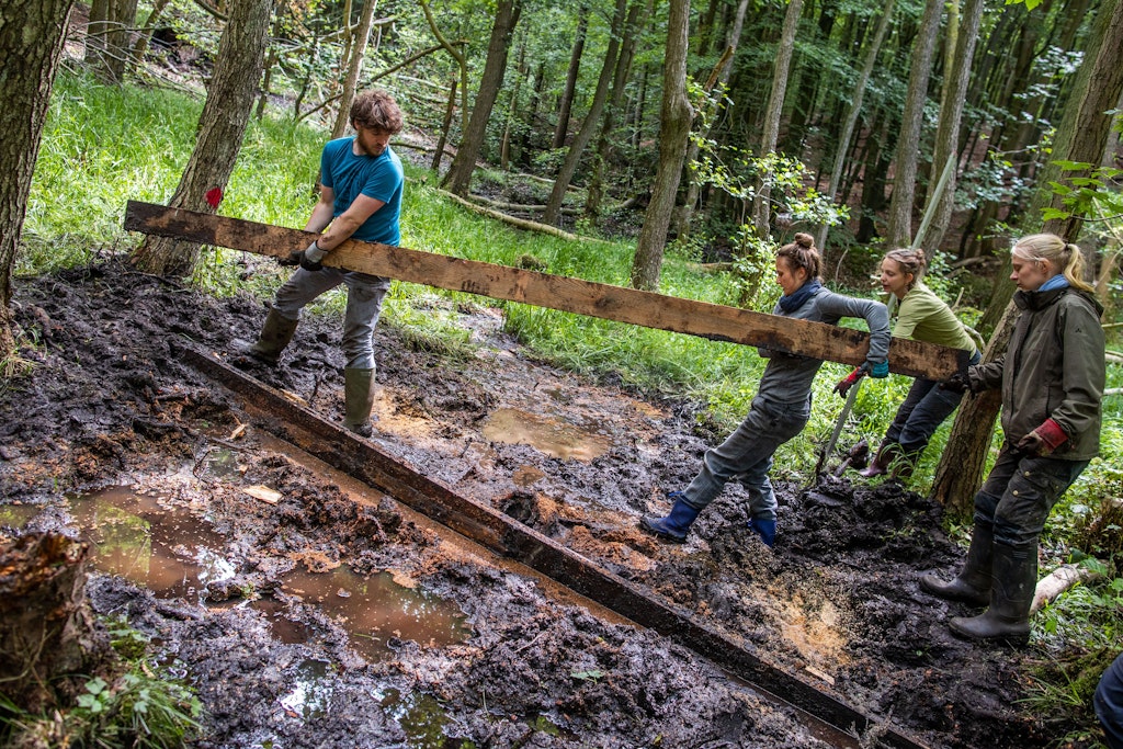Freiwillige des Bergwaldprojekts bauen aus Holz eine Wassersperre und bereiten so die Wiedervernässung von Moorflächen vor. 