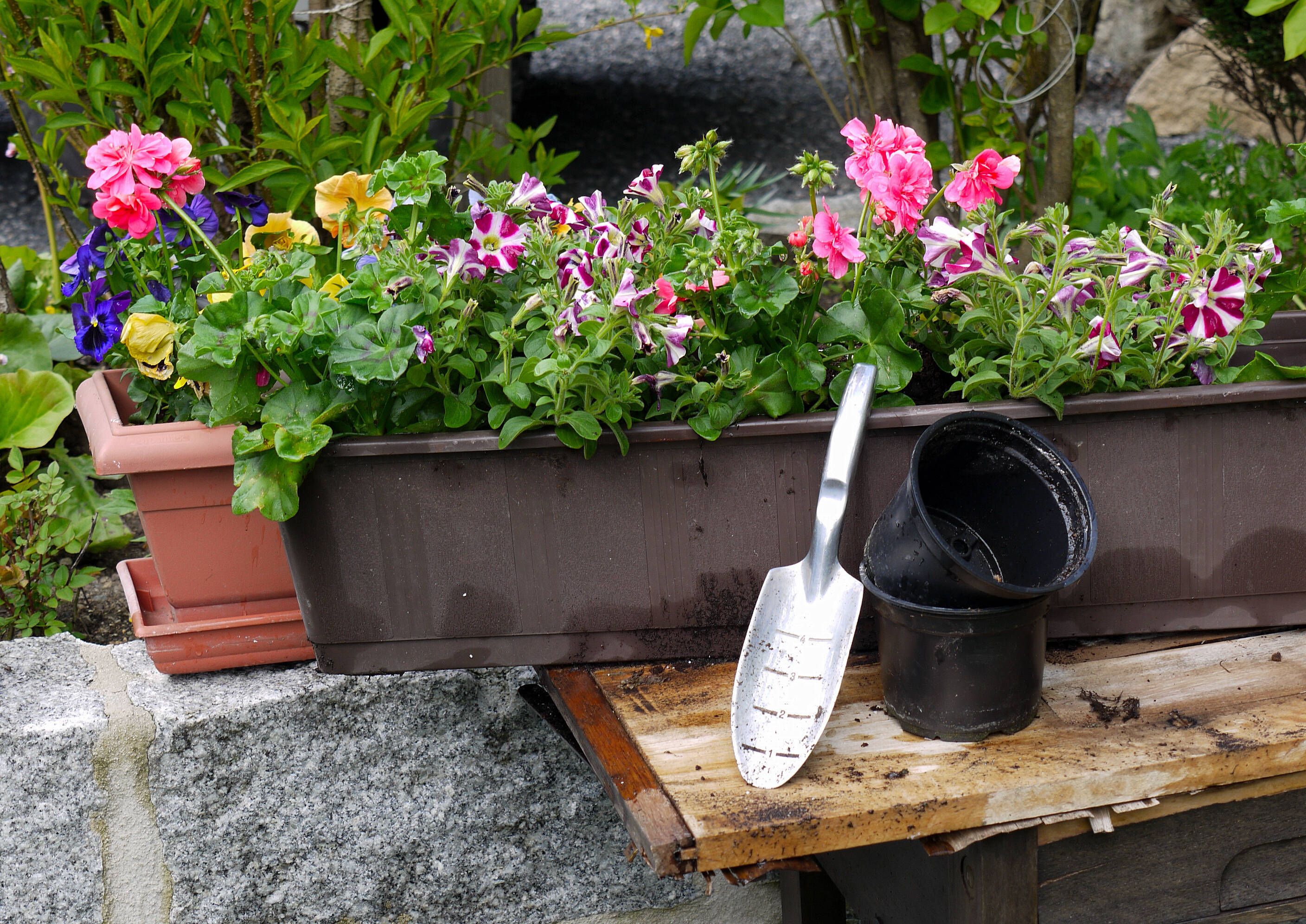 Balkonkasten Neu Bepflanzen: Wann, Wie Und Mit Welchen Blumen?