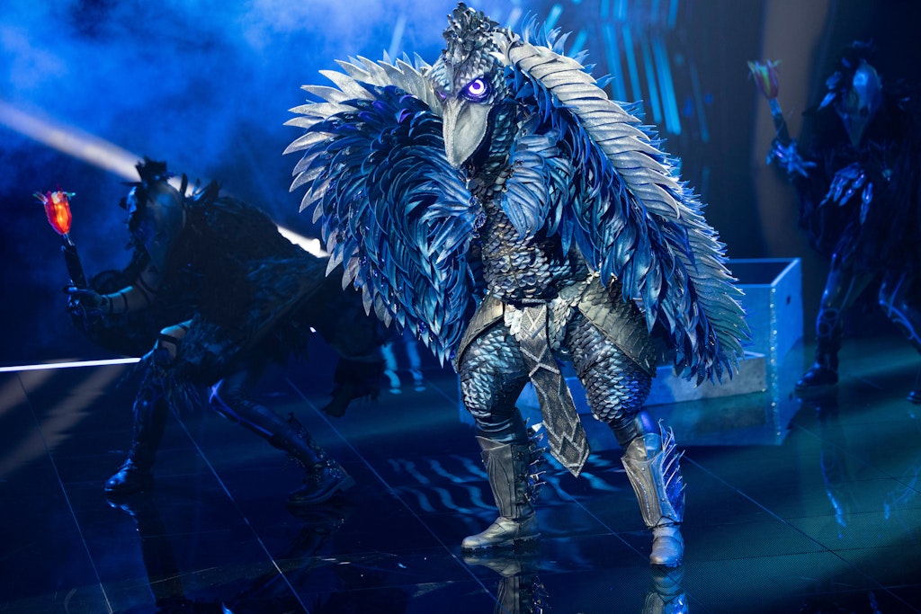 Der Schuhschnabel überzeugte bei „The Masked Singer“ viele Fans.
