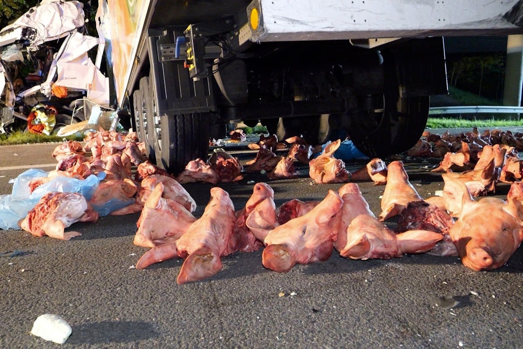Ein Unfall zwischen einem mit Schweineköpfen beladenen Lastwagen und einem zweiten Lkw hat auf der A27 im Landkreis Verden für eine Vollsperrung gesorgt. 