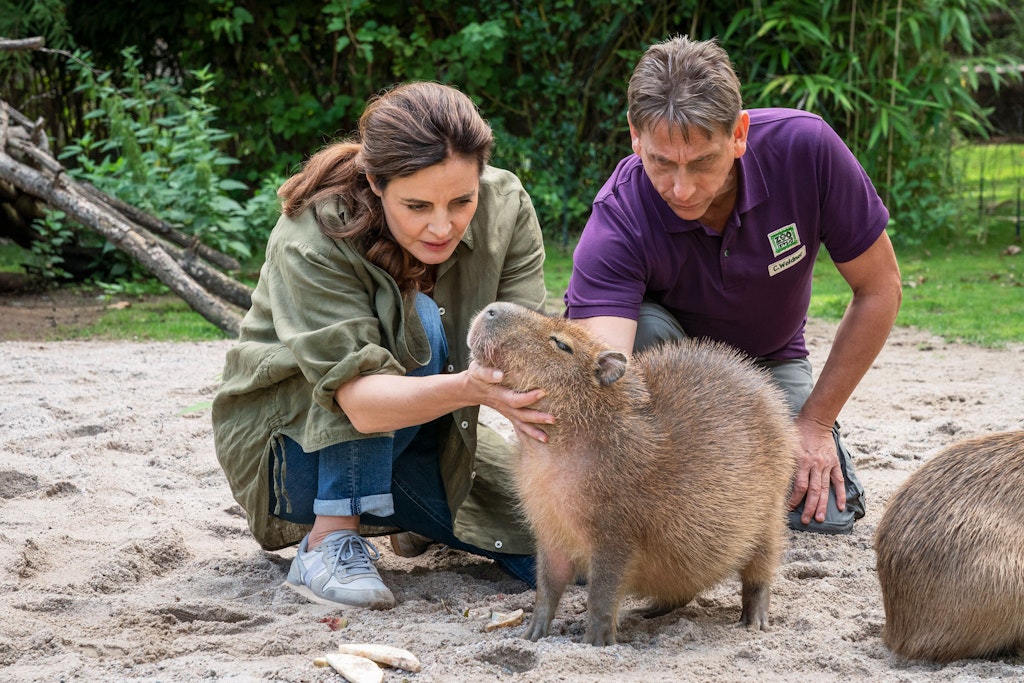 Am Set von „Tierärztin Dr. Mertens“ kam es auch schon für Elisabeth Lanz zu brenzligen Situationen.