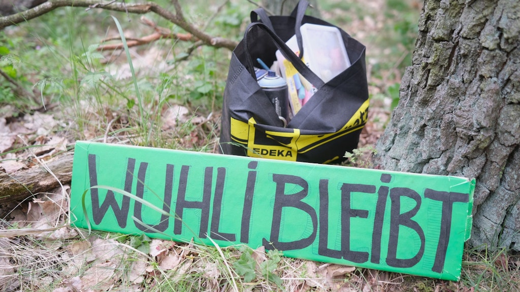 Protest gegen die Tangentiale Verbindung Ost (TVO) in der Wuhlheide. 