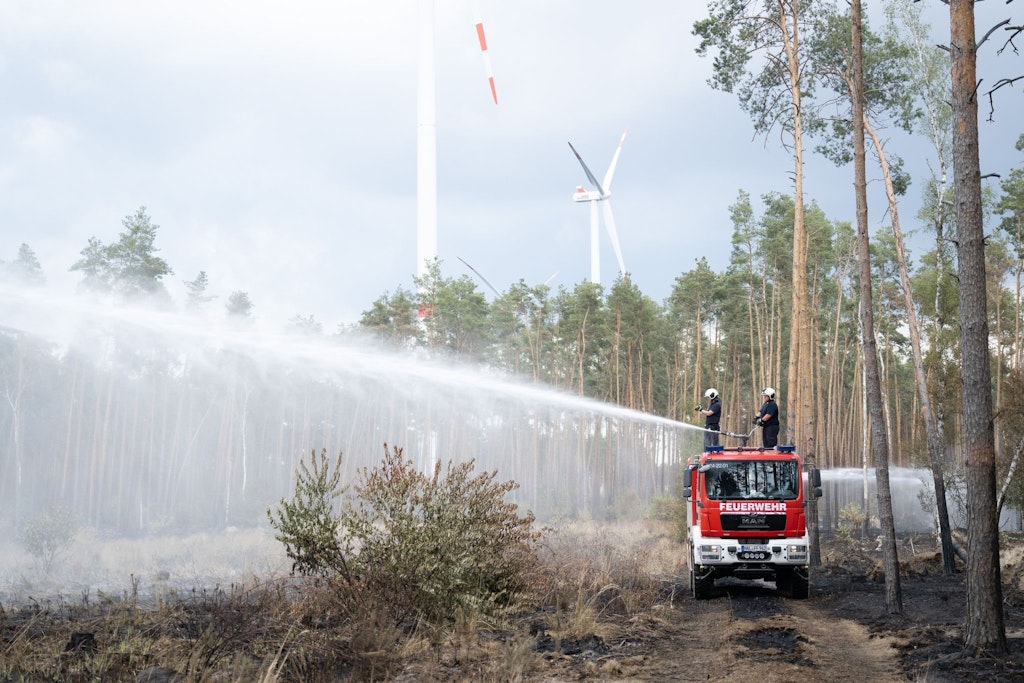 Löscharbeiten der Feuerwehr in einem Waldbrandgebiet.