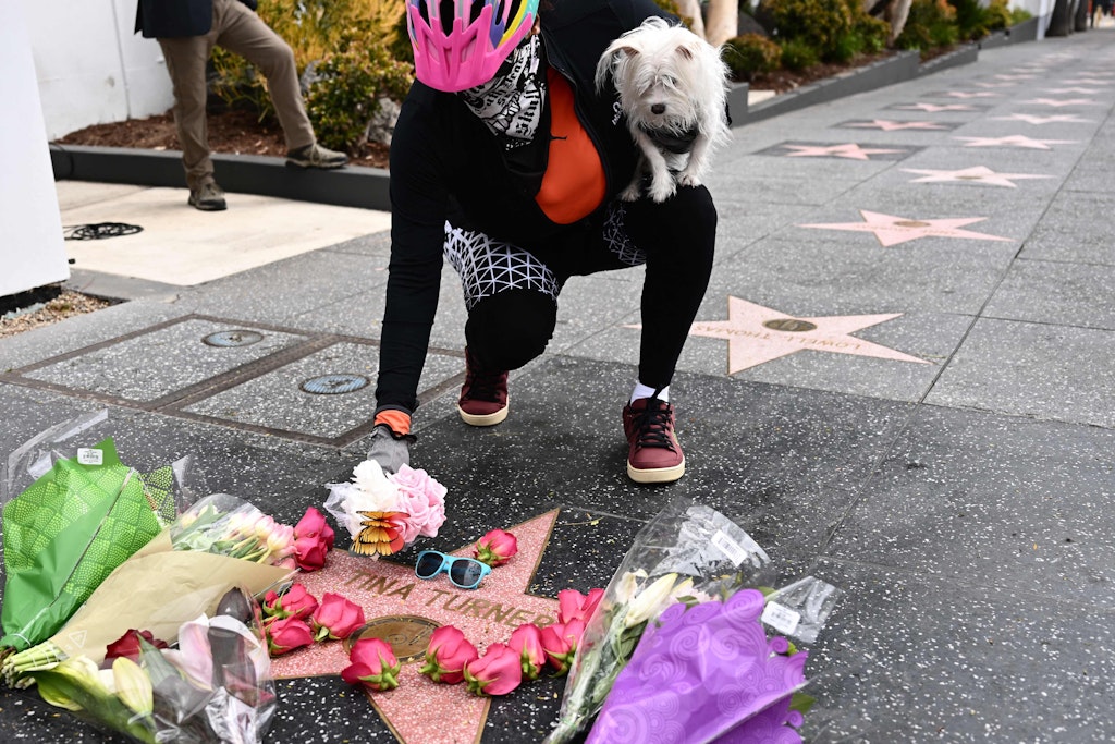 Ein Mann legt nach dem Tod von Tina Turner Blumen Blumen an ihrem Stern auf dem Hollywood Walk of Fame nieder. Weltweit trauern viele Menschen um die Rock-Ikone. 