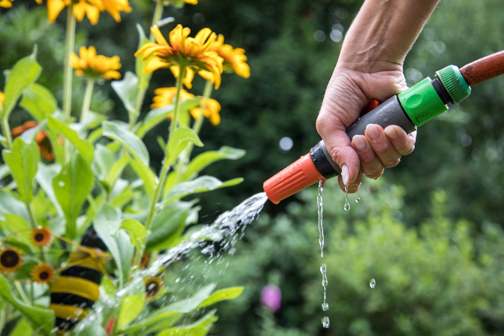 Gießen im Garten: Gartenpflanzen brauchen in trockenen Zeiten unsere Hilfe – und Gießwasser. Aber man kann ihnen auch helfen, sich besser selbst zu versorgen.