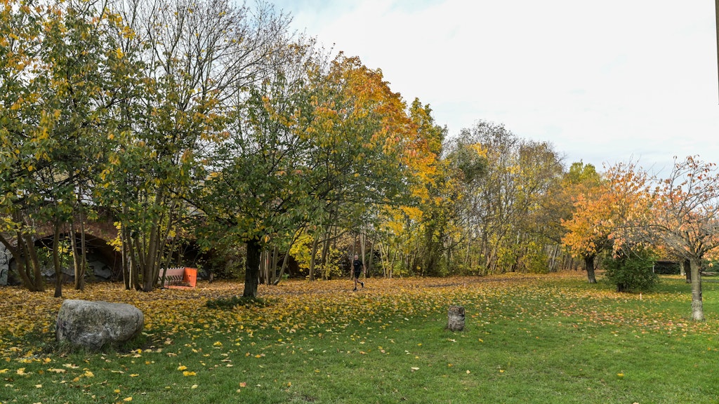 Bis auf die Zierkirschen entlang des Mauerwegs sollen alle Bäume und Gewächse weichen.