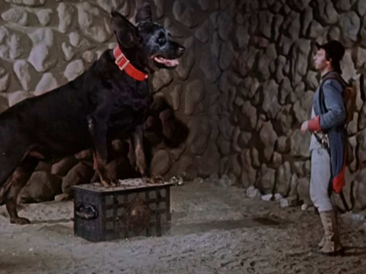 Der Soldat (gespielt von Rolf Ludwig) trifft im Film „Das Feuerzeug“ mehrere riesige Hunde. Das Märchen gehört zu den Klassikern der DDR.