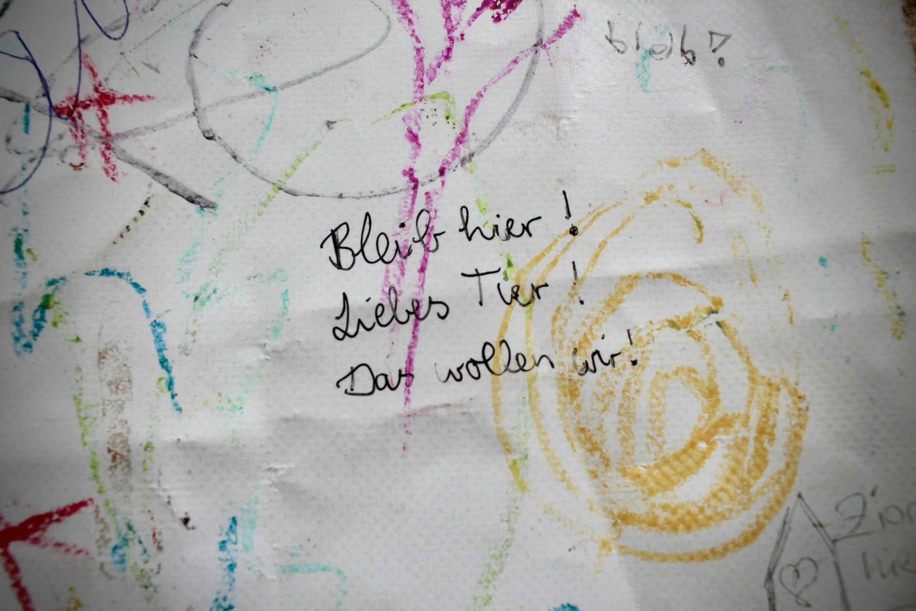 Auch Kinder haben das Protestplakat, das für den Lastenbären kämpft, mitgestaltet.