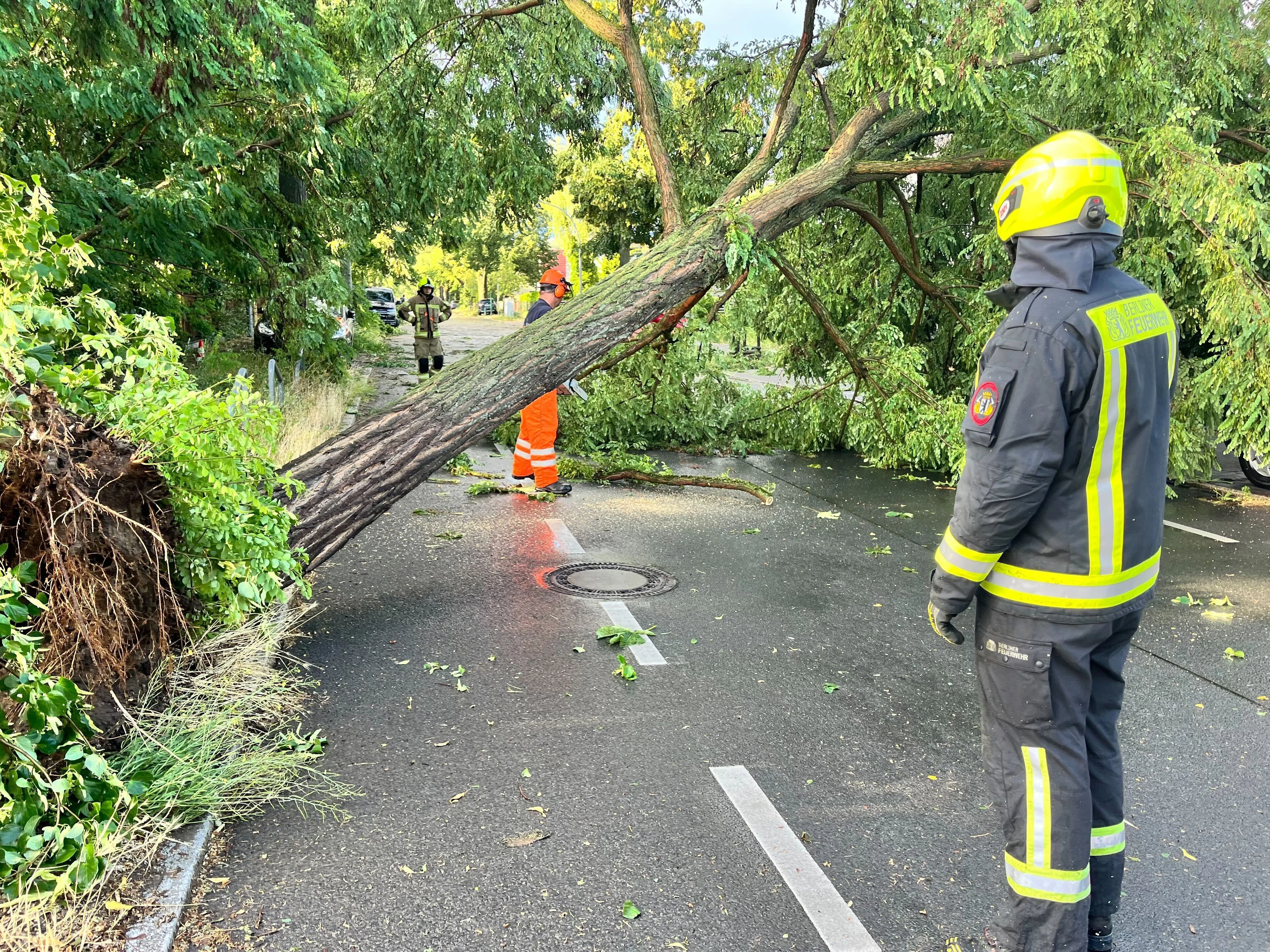 Schon in den vergangenen Wochen sorgten Unwetter in und um Berlin für große Schäden.