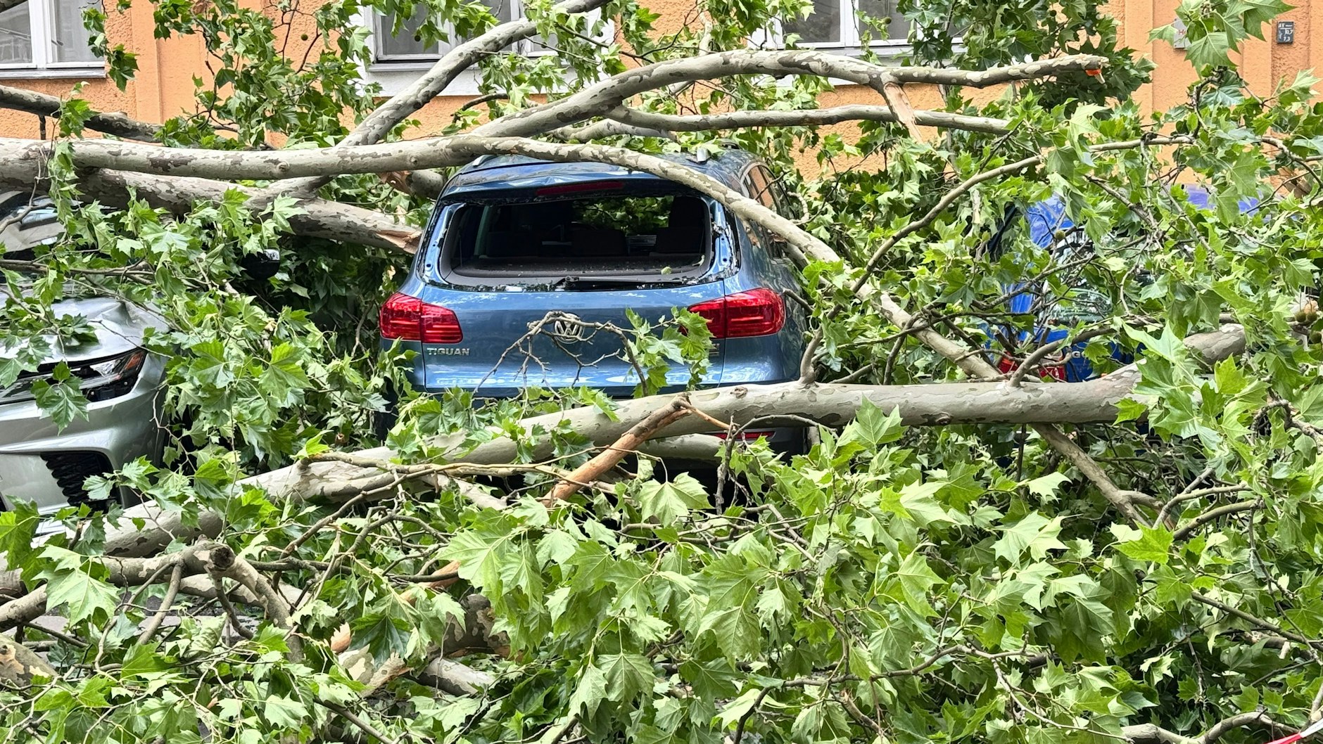 Umgestürzte Bäume, kaputte Autos: Die heftigen Stürme der vergangenen Wochen hinterließen überall ihre Spuren.