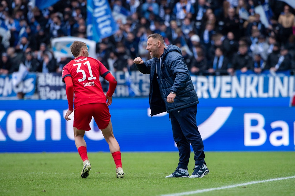 Vorbild Pal Dardai: Hertha BSC setzt wieder auf Papa-Gene! Vorbild Pal Dardai: Hertha BSC setzt wieder auf Papa-Gene!