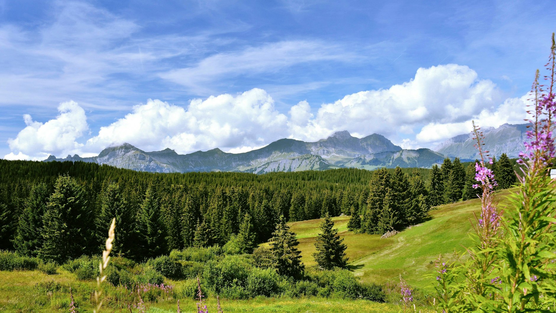 Blick auf die Bergkette Aravis am Col des Saisies